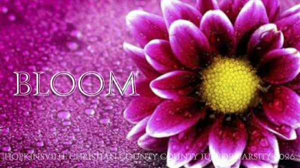 HCC Hopkinsville Christian Co JV