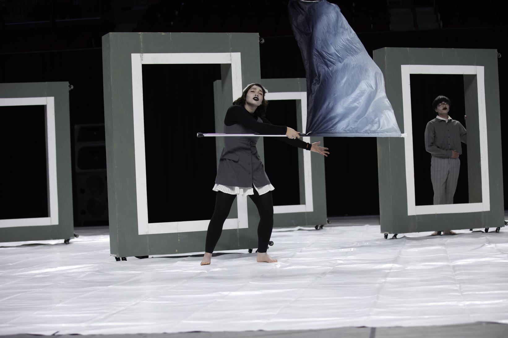 Henderson County Varsity Winter Guard